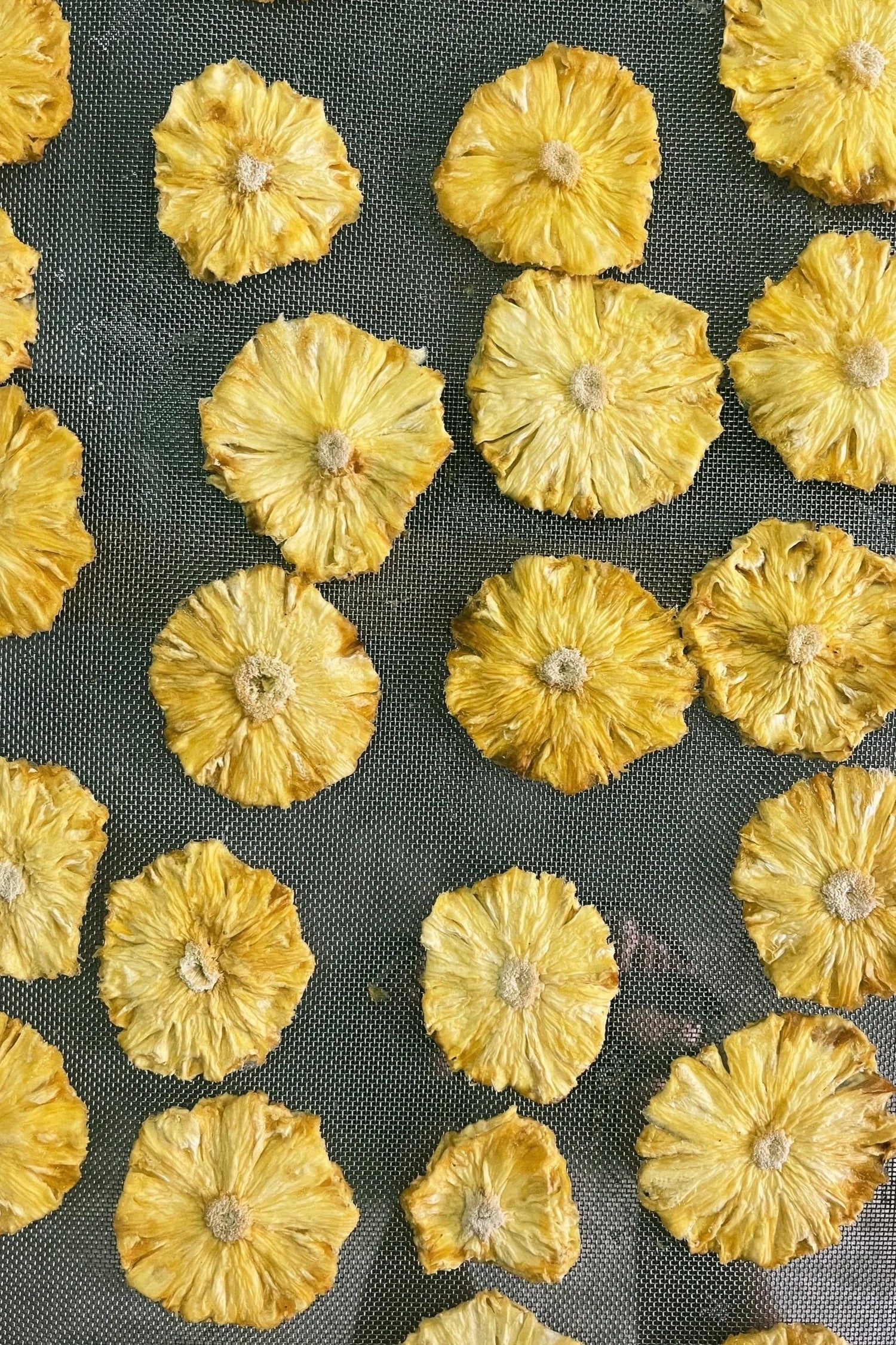 好。果乾