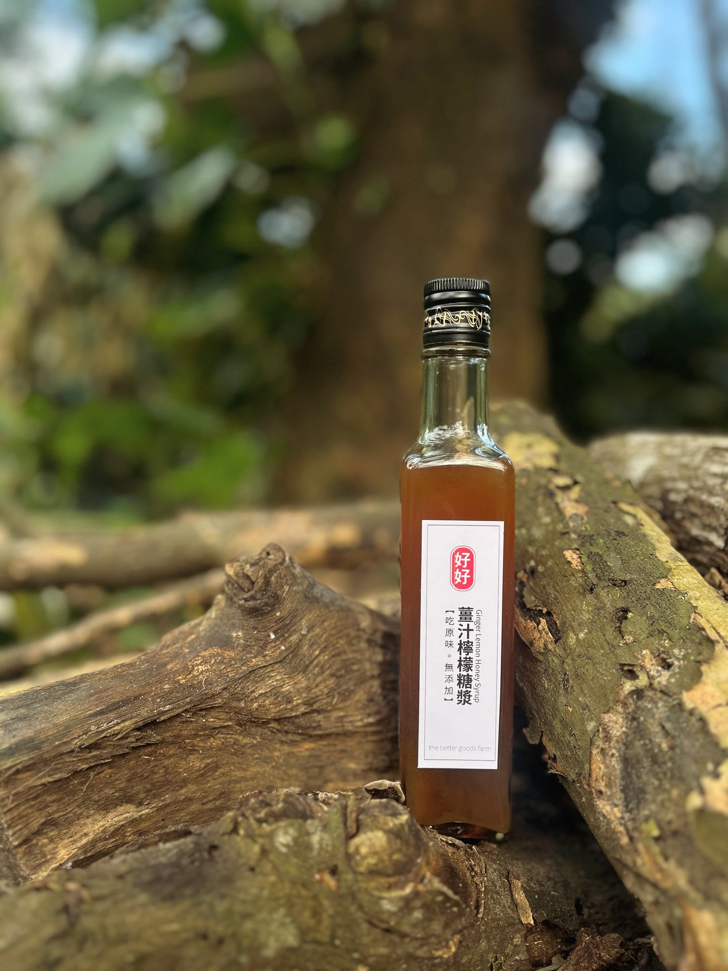 薑汁檸檬糖漿