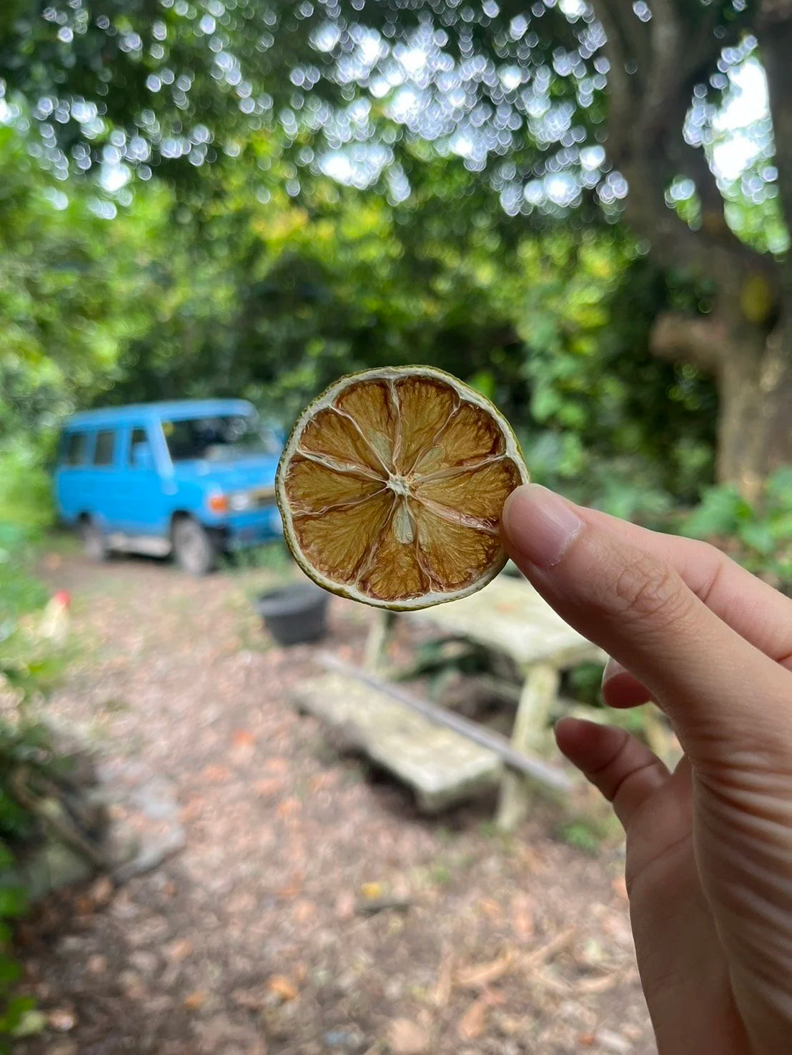 原味檸檬乾