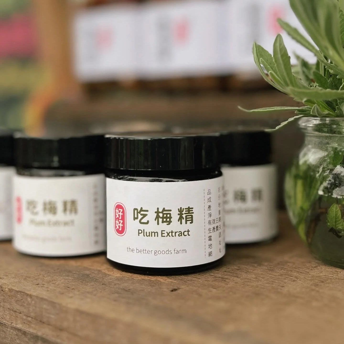 吃梅精