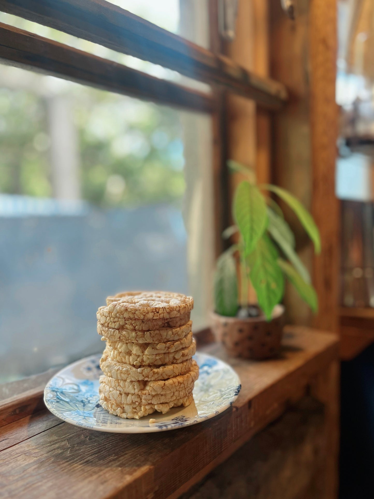 Stack of rice cracker on a plate with a window and plant in the background